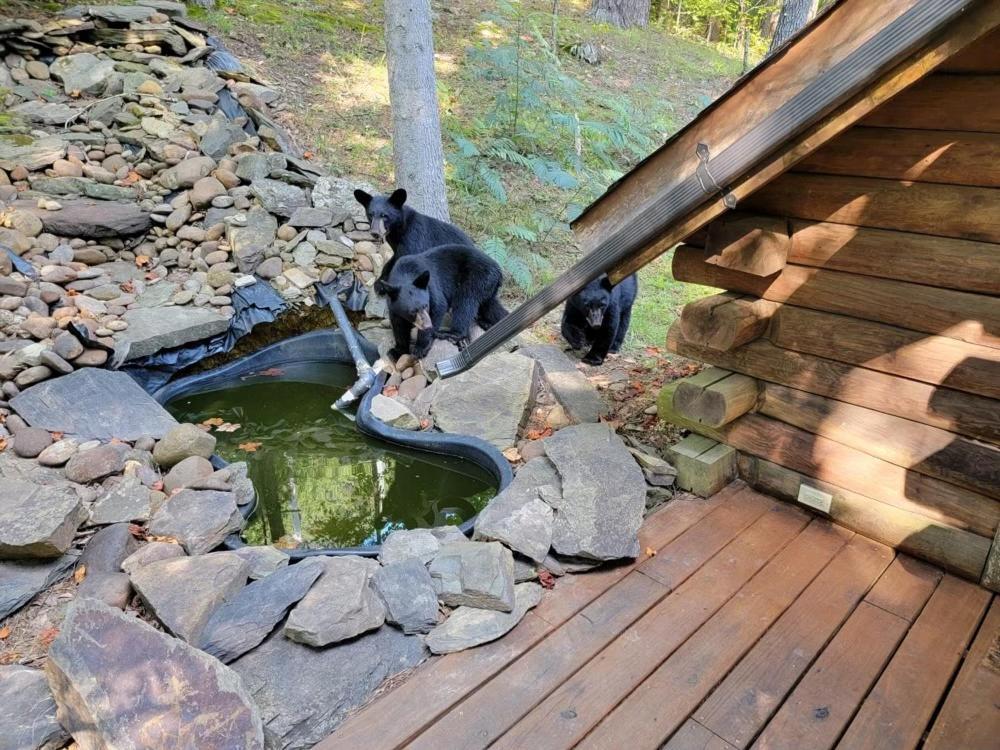 Very Private, Real Log Cabin With Hot Tub! Sevierville Buitenkant foto