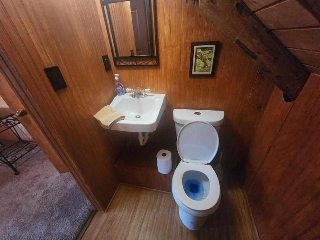 Very Private, Real Log Cabin With Hot Tub! Sevierville Buitenkant foto